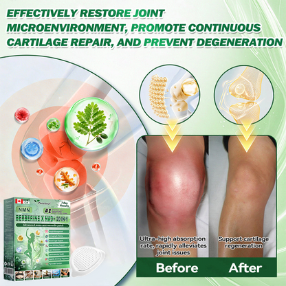 💎💎Online Pharmacy  | 💎💎Purelora® Moringa Berberine × NAD⁺ 20-in-1 Nano Microneedle Patch (Just once daily, visible changes in 7 days) ✅ Supports weight management, loose skin, diabetes care, sleep apnea, joint comfort, and more
