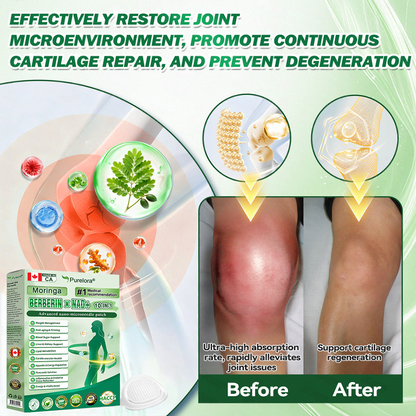 🔥 Online Pharmacy  🔥| Purelora® Moringa Berberine × NAD⁺ 10-in-1 Nano Microneedle Patch (Just once daily, visible changes in 7 days) ✅ Supports weight management, loose skin, diabetes care, sleep apnea, joint comfort, and more