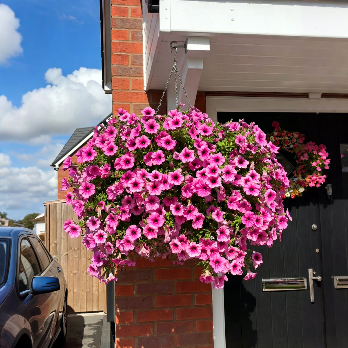 💥Last Day 60% OFF💥UV Resistant Artificial Petunias Flowers