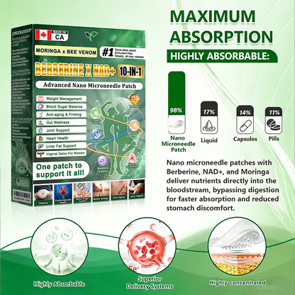 𝐎𝐟𝐟𝐢𝐜𝐢𝐚𝐥 Online St𝐨𝐫𝐞  | 🔥 𝐏𝐮𝐫𝐞𝐥𝐨𝐫𝐚® Moringa · Berberine × NAD+ 𝟏𝟎-𝐢𝐧-𝟏 𝐀𝐝𝐯𝐚𝐧𝐜𝐞𝐝 𝐍𝐚𝐧𝐨 𝐌𝐢𝐜𝐫𝐨𝐧𝐞𝐞𝐝𝐥𝐞 𝐏𝐚𝐭𝐜𝐡 — 𝐎𝐧𝐜𝐞 𝐃𝐚𝐢𝐥𝐲, 𝐕𝐢𝐬𝐢𝐛𝐥𝐞 𝐑𝐞𝐬𝐮𝐥𝐭𝐬 𝐢𝐧 𝟕 𝐃𝐚𝐲𝐬
